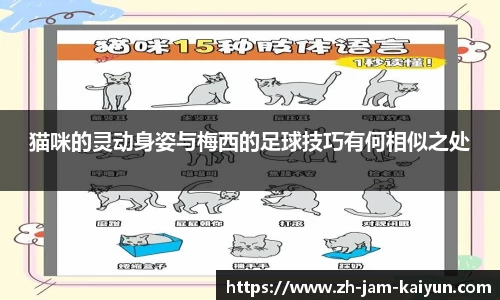 猫咪的灵动身姿与梅西的足球技巧有何相似之处